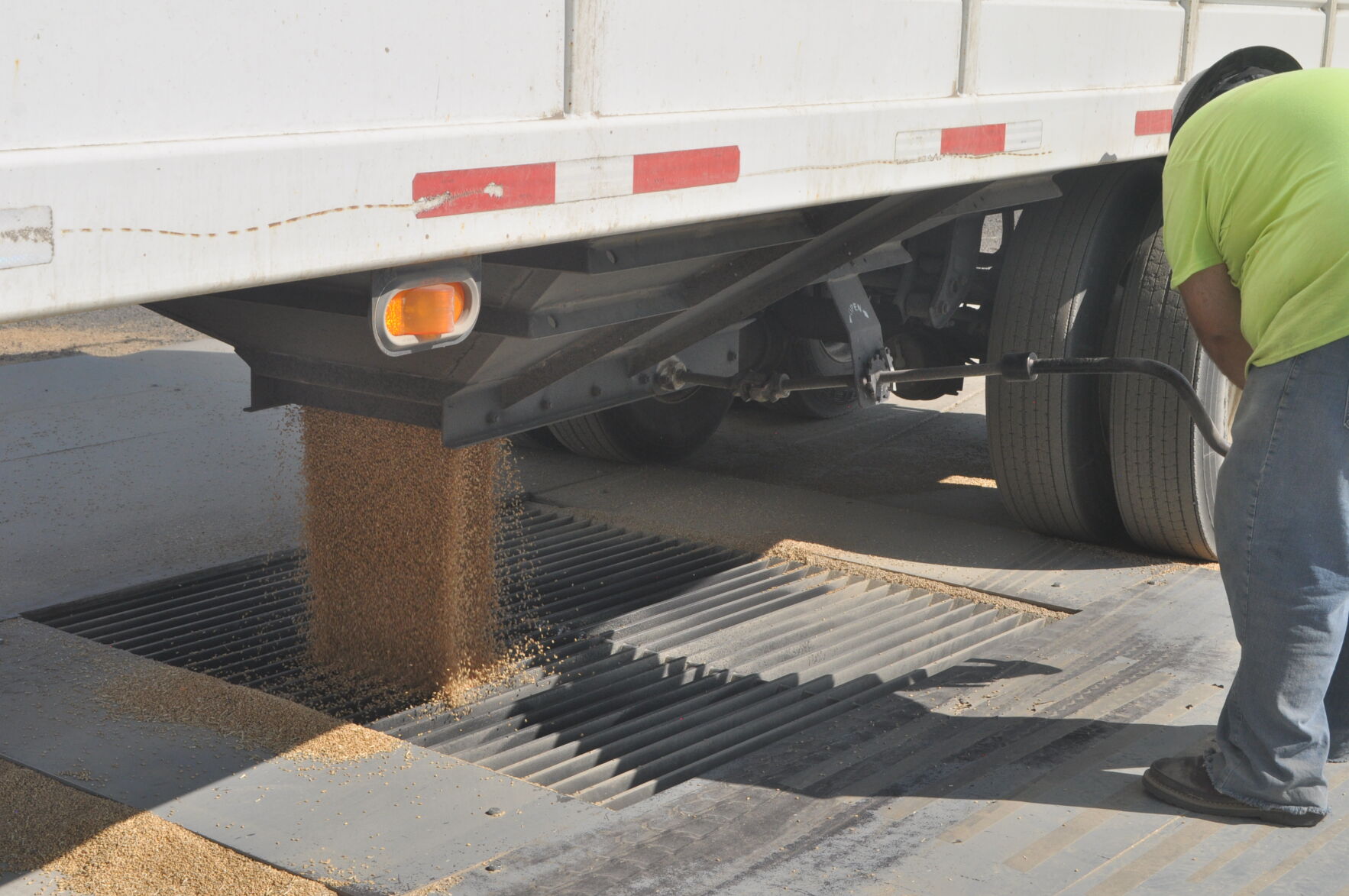 Grain in Fenn photo 3